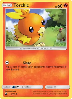 Torchic